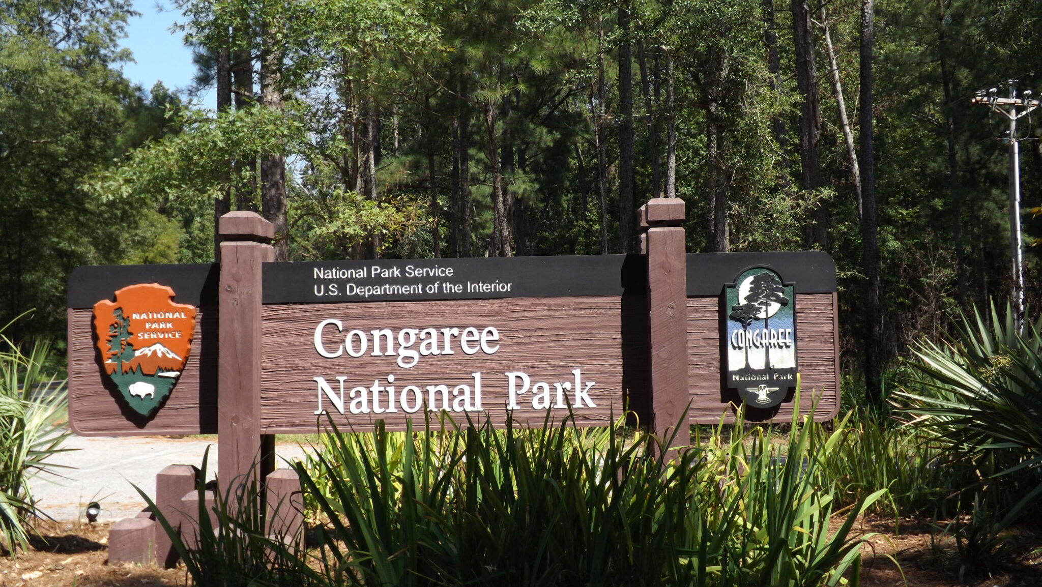 congaree national park tshirt
